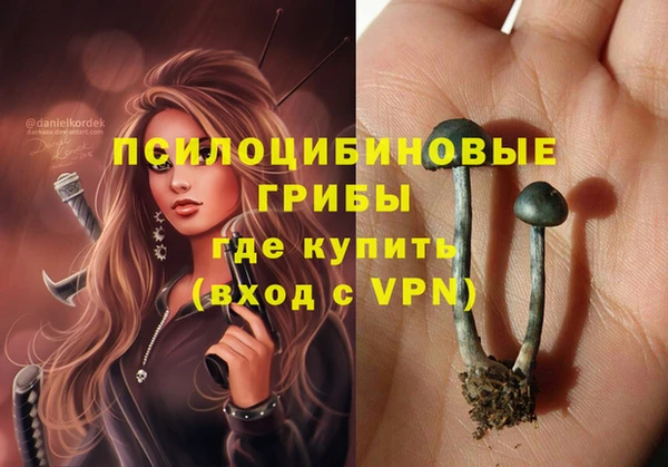 спиды Армянск